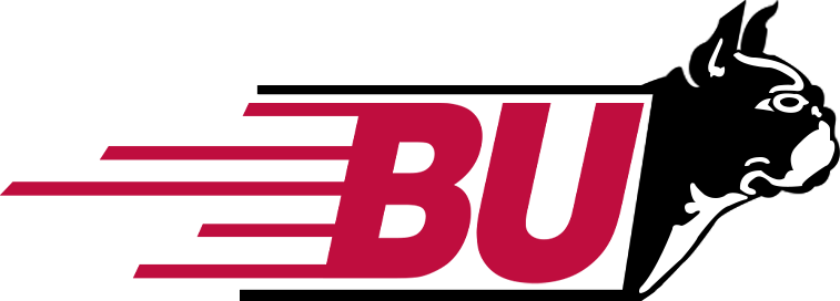 Boston University Terriers 1980-1996 Secondary Logo v2 diy iron on heat transfer